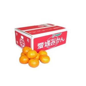 温州みかん (家庭用) 訳あり 約10kg JAえひめ南 産地より直送【2025年