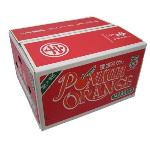 ポンカン（家庭用）訳あり 10kg JAえひめ南 産地より直送【2025