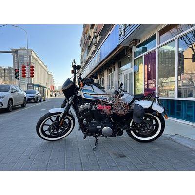 MOTORCYLEハーレー XL883XL1200スポーツスター883 72 1200 X48 48助手席リアシートバーカスタム バイクパーツ 部品｜jajamaruhonpo｜05