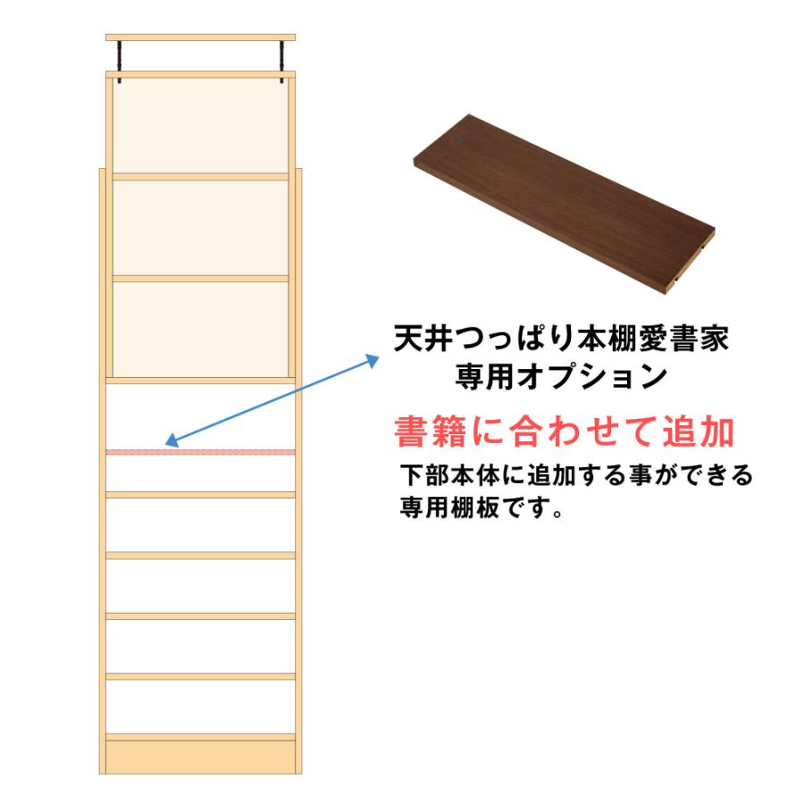 (専用オプション品) 天井つっぱり本棚愛書家専用 下部本体用棚板 日本製 | 充英アート | 04