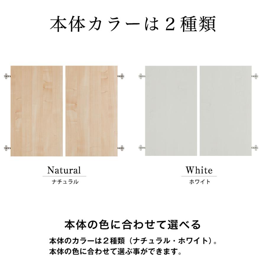 (専用オプション品)壁面システム収納ラック 璧 オープンラック・チェストラック専用オプション扉 左右2枚組 書棚 本棚 収納棚 壁面収納 扉 後付け 日本製 | 充英アート | 06