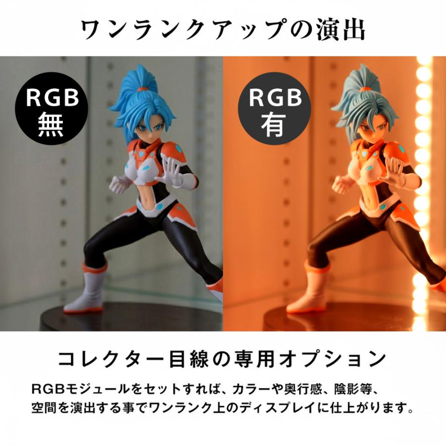 JAJAN 専用オプション品 JAJAN純正 フィギュアラック ザ サード ハイ