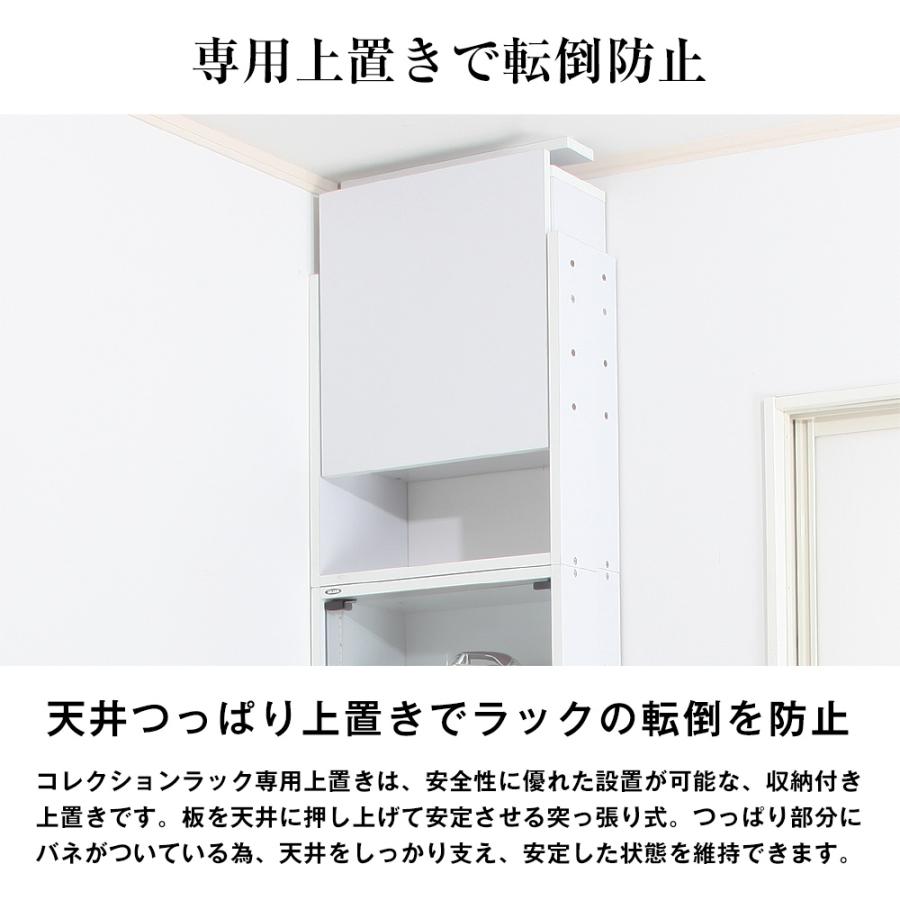 JAJAN 専用オプション品 JAJAN フィギュアラック ザ サード レギュラー
