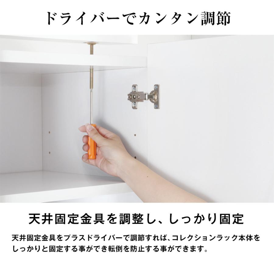 専用オプション品 JAJAN　フィギュアラック ザ サード レギュラー 幅55cm 奥行19cm 専用上置き ロータイプ 対応天井高：227cm〜254cm