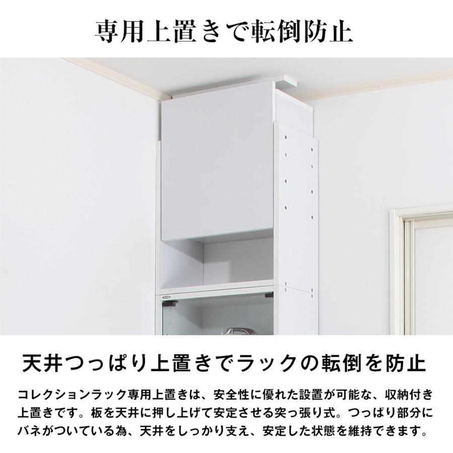 JAJAN 専用オプション品 JAJAN フィギュアラック ザ サード レギュラー
