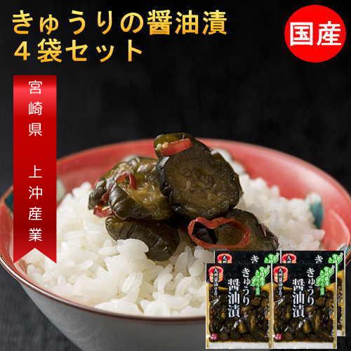 きゅうり醤油漬け 100g 4袋 国産 無添加 きゅうり 漬物 宮崎県産 キュウリ 梅酢ごぼう 2種類から選べる ご飯のお供 ポイント消化 メール便 Kyuri2 九州通販 取寄せのじゃじゃ美味 通販 Yahoo ショッピング