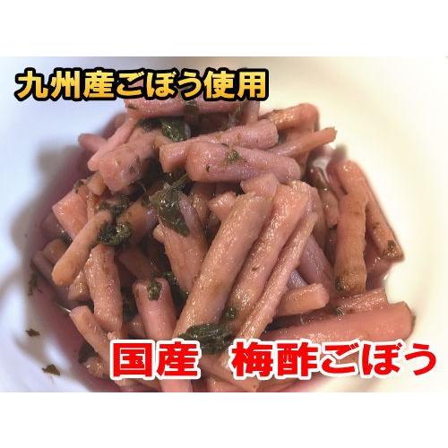 きゅうり醤油漬け 100g 4袋 国産 無添加 きゅうり 漬物 宮崎県産 キュウリ 梅酢ごぼう 2種類から選べる ご飯のお供 ポイント消化 メール便 Kyuri2 九州通販 取寄せのじゃじゃ美味 通販 Yahoo ショッピング