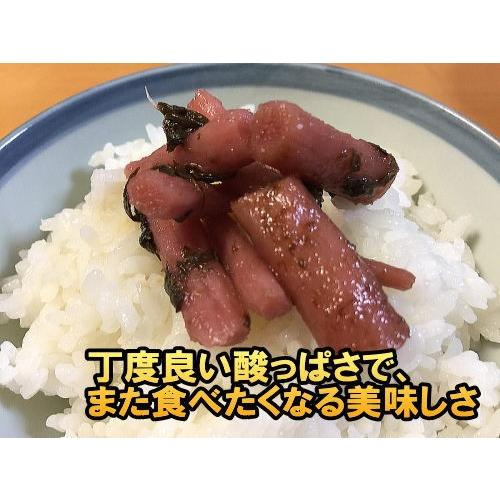 きゅうり醤油漬け 100g 4袋 国産 無添加 きゅうり 漬物 宮崎県産 キュウリ 梅酢ごぼう 2種類から選べる ご飯のお供 ポイント消化 メール便 Kyuri2 九州通販 取寄せのじゃじゃ美味 通販 Yahoo ショッピング