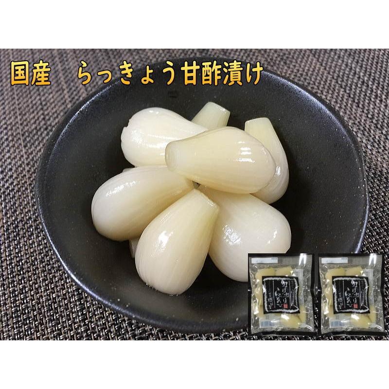 らっきょう 国産 らっきょう甘酢漬 90gx10袋セット カリカリらっきょう