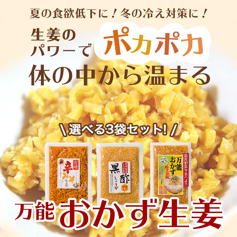 大特価 万能おかず生姜 国産 130g 3袋 しょうが醤油漬け 刻みしょうが ぶっかけおかずしょうが ショウガ ふりかけ ご飯のお供 ポイント 消化 メール便 ギフト Aynaelda Com