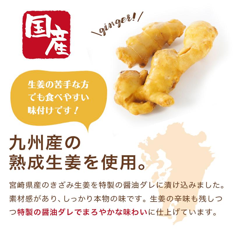 大特価 万能おかず生姜 国産 130g 3袋 しょうが醤油漬け 刻みしょうが ぶっかけおかずしょうが ショウガ ふりかけ ご飯のお供 ポイント 消化 メール便 ギフト Aynaelda Com