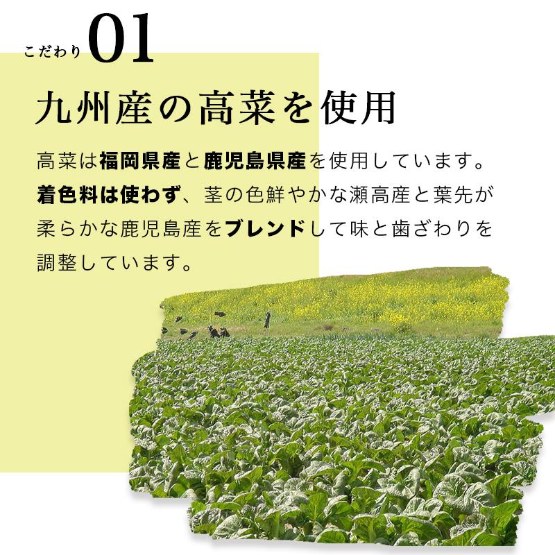 信託 博多からし高菜250g入り 中辛 辛口セット fucoa.cl 信託 博多からし高菜250g入り 中辛 辛口セット fucoa.cl
