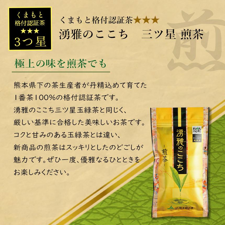 緑茶【湧雅のここち三ツ星 2本セット（玉緑茶・煎茶）】茶葉 80g×2 玉緑茶 煎茶 JA 熊本 プレミアム 高級 日本茶 ギフト 贈答 贈り物 送料無料 |  | 03