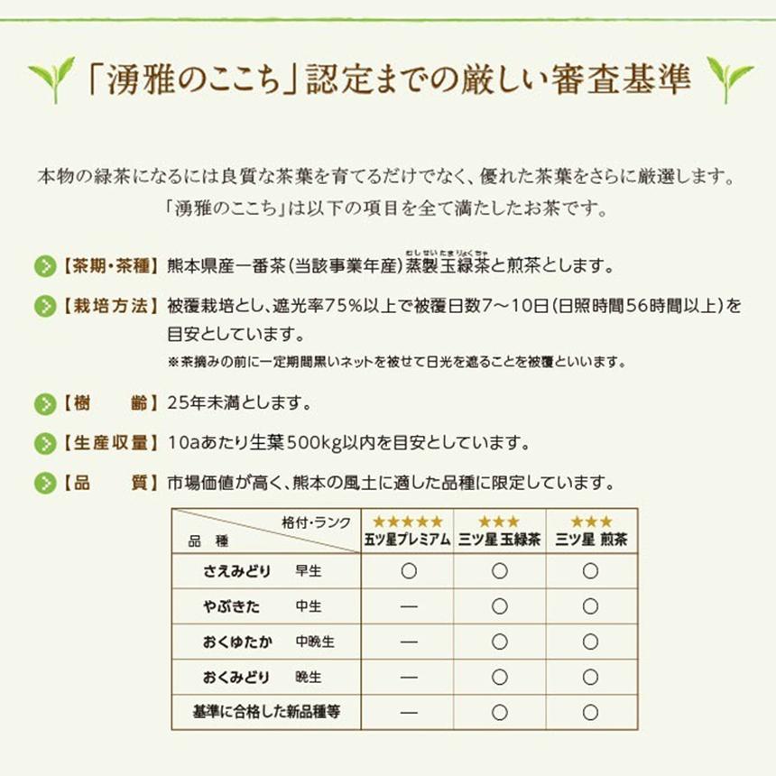 緑茶【湧雅のここち三ツ星 2本セット（玉緑茶・煎茶）】茶葉 80g×2 玉緑茶 煎茶 JA 熊本 プレミアム 高級 日本茶 ギフト 贈答 贈り物 送料無料 |  | 06