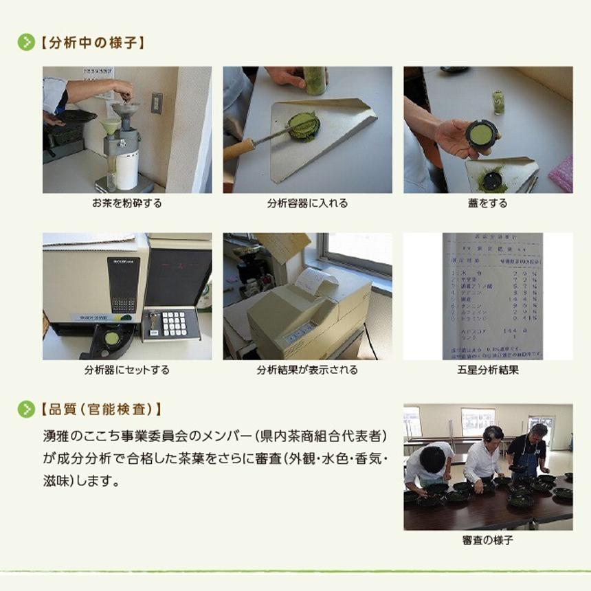 緑茶【湧雅のここち三ツ星 2本セット（玉緑茶・煎茶）】茶葉 80g×2 玉緑茶 煎茶 JA 熊本 プレミアム 高級 日本茶 ギフト 贈答 贈り物 送料無料 |  | 08