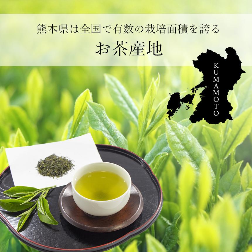 緑茶【森のくまさん玉緑茶 匠】 JA 熊本 80g×2缶 化粧箱入り 高級日本