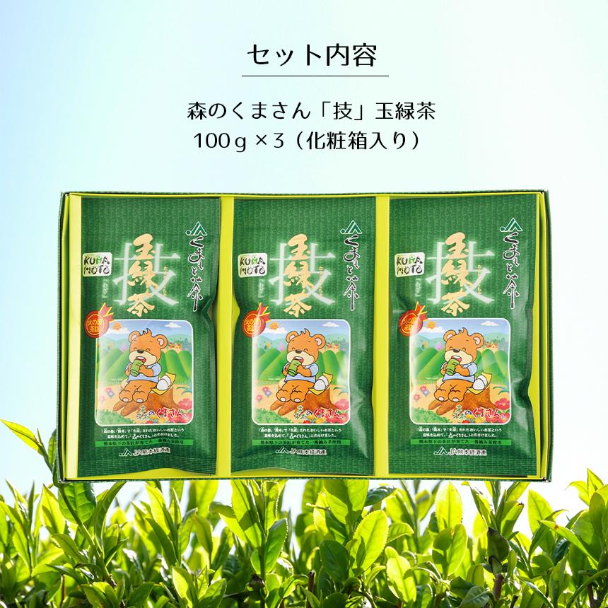 緑茶【森のくまさん玉緑茶 技】 JA 熊本 100g×3本 化粧箱入り 高級日本