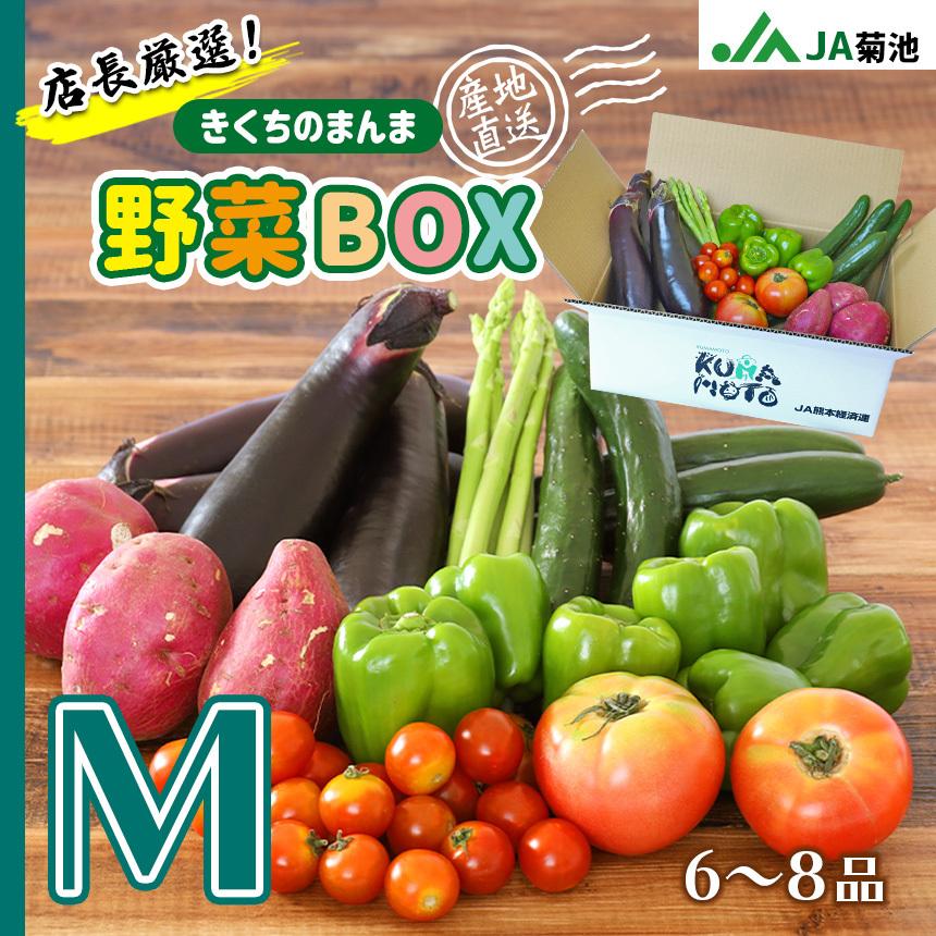 野菜詰め合わせ【店長厳選！きくちのまんま野菜ボックスM】野菜6品目~8品目 JA 菊池 熊本県産 旬 九州 新鮮宅配 送料無料 | 