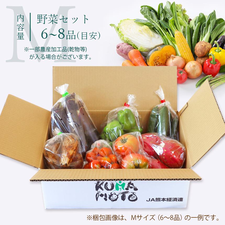 野菜詰め合わせ【店長厳選！きくちのまんま野菜ボックスM】野菜6品目~8品目 JA 菊池 熊本県産 旬 九州 新鮮宅配 送料無料 |  | 01