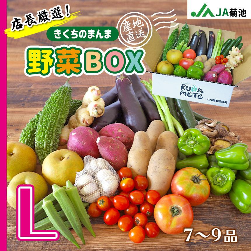 野菜詰め合わせ【店長厳選！きくちのまんま野菜ボックスL】野菜7品目~9