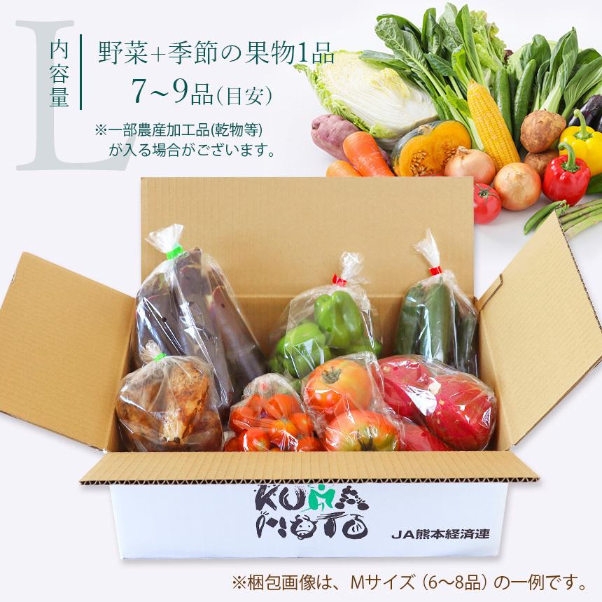 野菜詰め合わせ【店長厳選！きくちのまんま野菜ボックスL】野菜7品目~9