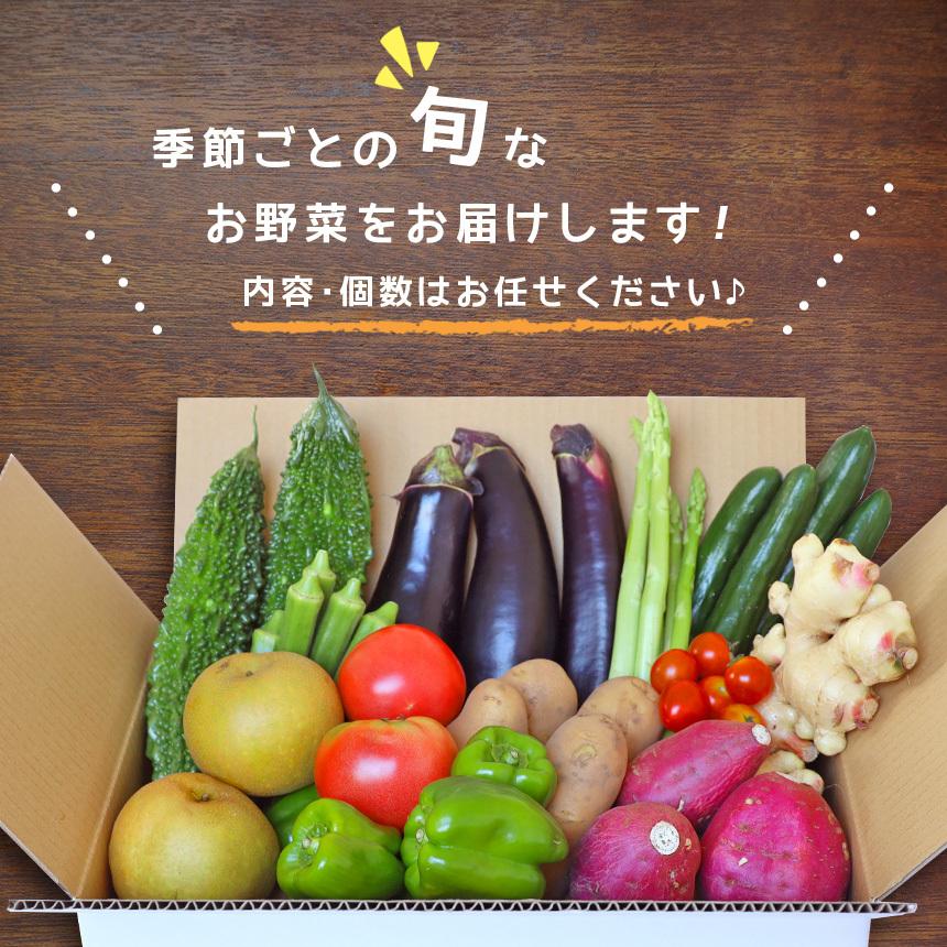 野菜詰め合わせ【店長厳選！きくちのまんま野菜ボックスL】野菜7品目~9