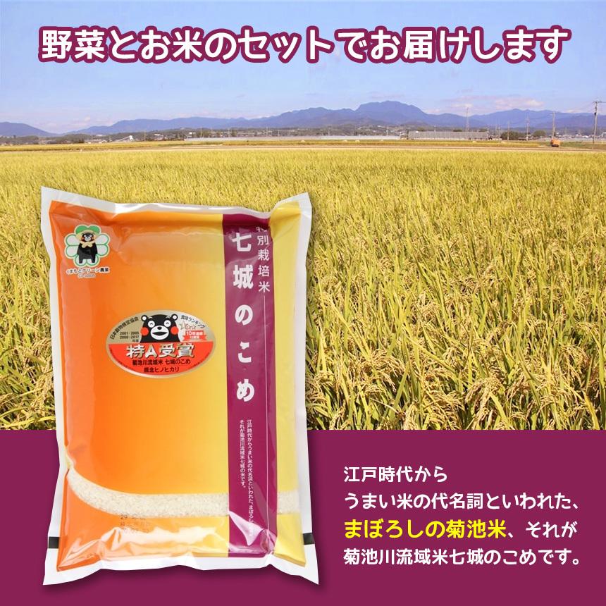 お米と野菜詰め合わせ【店長厳選！きくちのまんま野菜&お米のセット】野菜5品目~8品目 七城のこめ2kg JA 菊池 熊本県産 旬 九州 新鮮宅配 送料無料 |  | 02