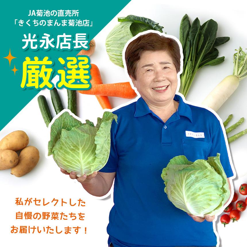 お米と野菜詰め合わせ【店長厳選！きくちのまんま野菜&お米のセット】野菜5品目~8品目 七城のこめ2kg JA 菊池 熊本県産 旬 九州 新鮮宅配 送料無料 |  | 05