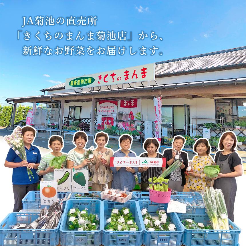 お米と野菜詰め合わせ【店長厳選！きくちのまんま野菜&お米のセット】野菜5品目~8品目 七城のこめ2kg JA 菊池 熊本県産 旬 九州 新鮮宅配 送料無料 |  | 06