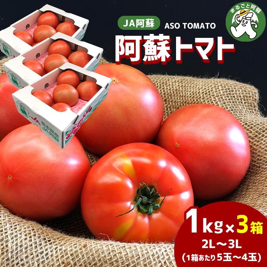JA阿蘇 阿蘇トマト 3kg (1kg×3箱) 2L〜3L 秀品 1箱あたり5玉〜4