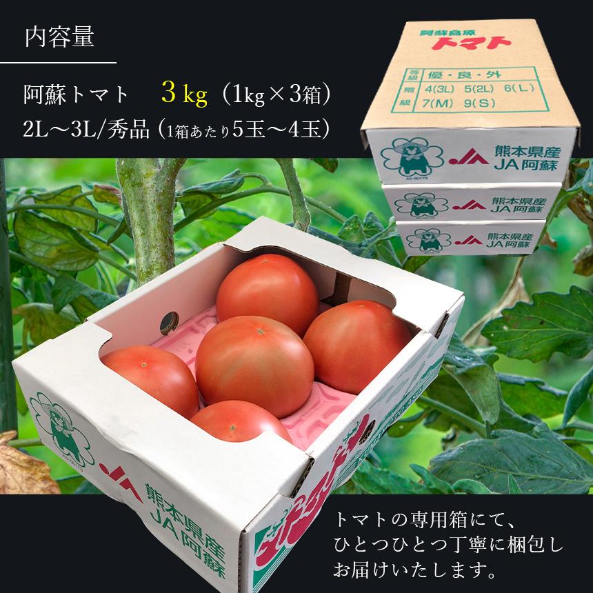 今井アレクサンドル　トマト③ よろずやマルシェ本店 | PEELED TOMATOES ホールトマト缶 400g 3