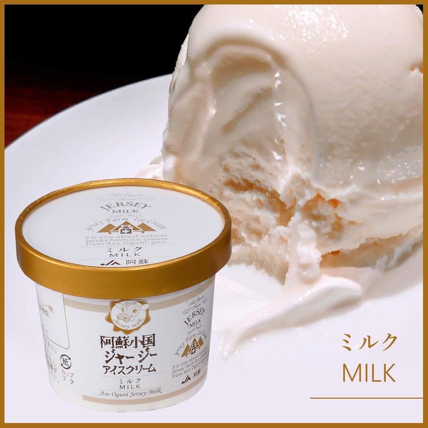 JA阿蘇 小国郷ジャージーアイスクリームセットIS-2 送料無料 アイス
