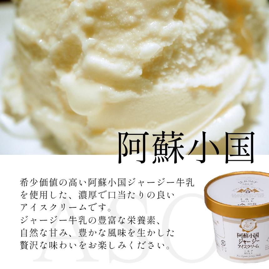 JA阿蘇　小国郷ジャージーアイスクリームセットIS-2 送料無料 アイスセット |  | 07