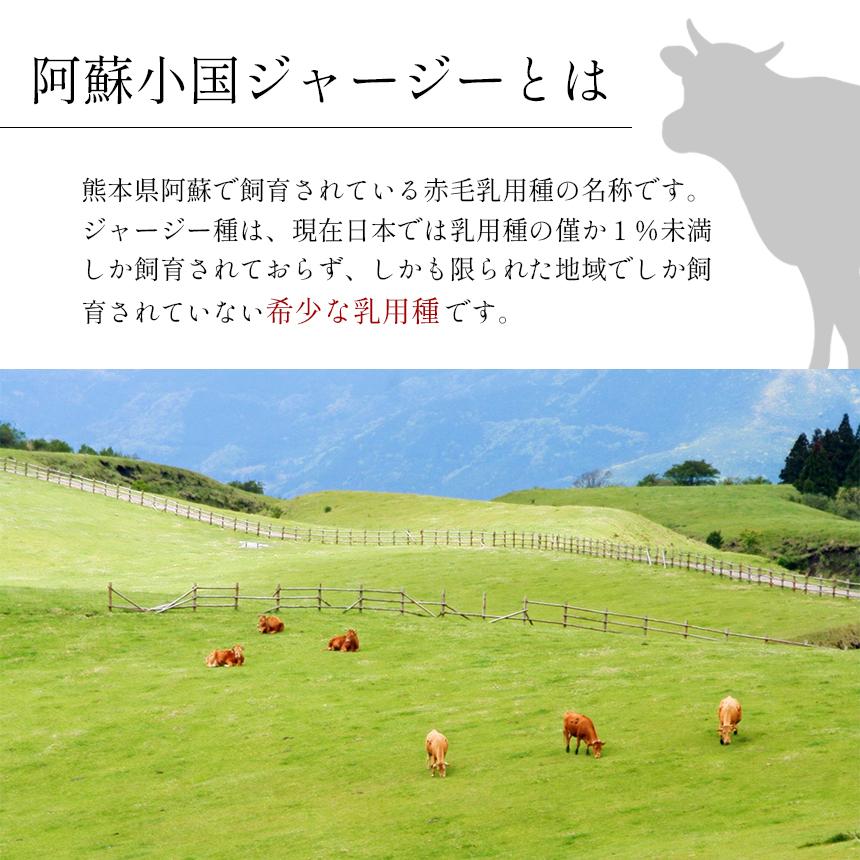 JA阿蘇　小国郷ジャージーアイスクリームセットIS-2 送料無料 アイスセット |  | 08