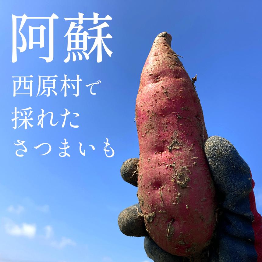 JA阿蘇 西原産シルクスイート 秀 長 5kg 令和7年産 送料無料 芋