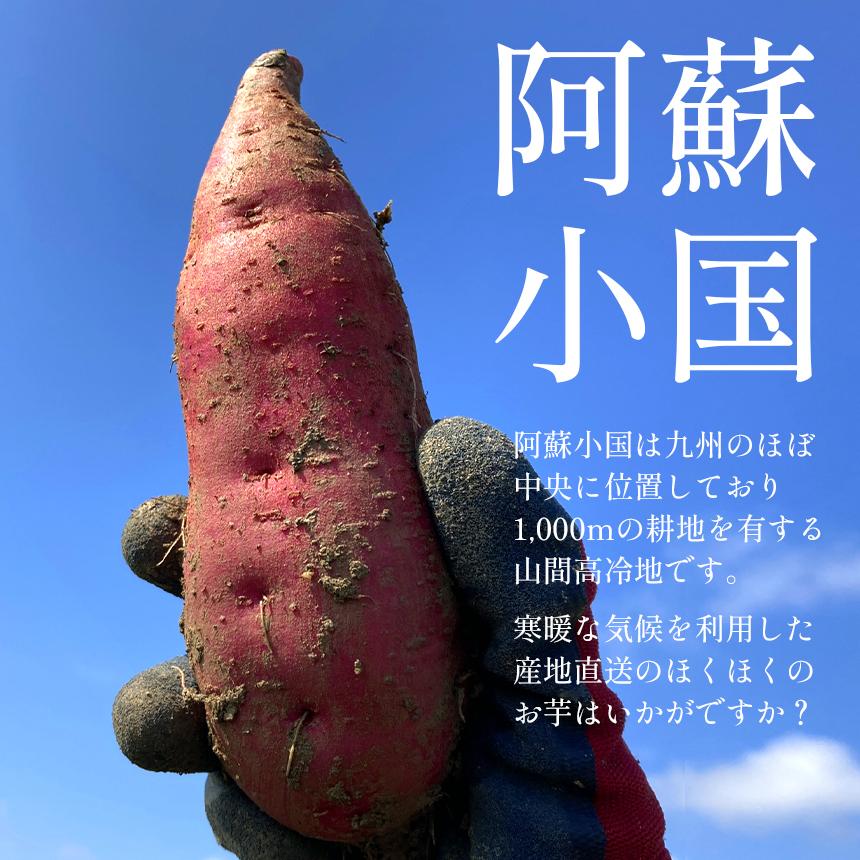 JA阿蘇 小国紅 「レンジでチン」 S（2本入り×10袋） さつまいも 送料