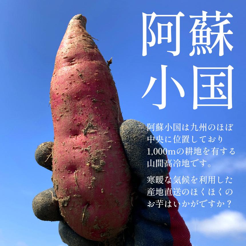 JA阿蘇 小国紅 「レンジでチン」 L（1本入り×10袋） さつまいも 送料