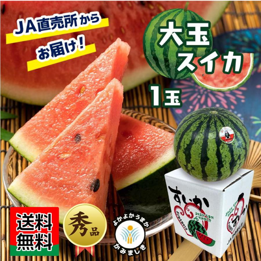 JAの直売所からお届け！ JAかみましき 大玉スイカ 1玉 : JA