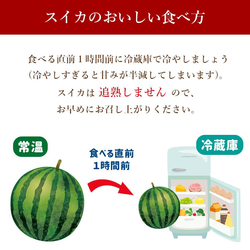 JAの直売所からお届け！ JAかみましき 大玉スイカ 1玉 : JA熊本