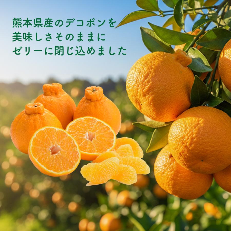 デコポンゼリー＆プリン詰合せ 12個入り デコポンゼリー デコポン