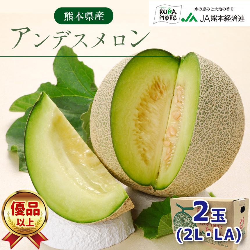 予約】アンデスメロン2玉入り LAサイズ以上 優品以上 : JA熊本経済連