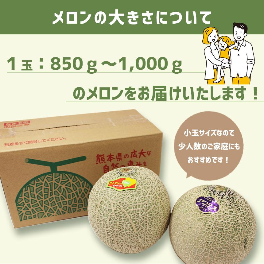 熊本県産　クインシーメロン【赤肉】　5×2箱　計10玉　セット クインシーメロン 熊本県産 赤肉 メロン 2～3Lサイズ 優品以上 4～5玉