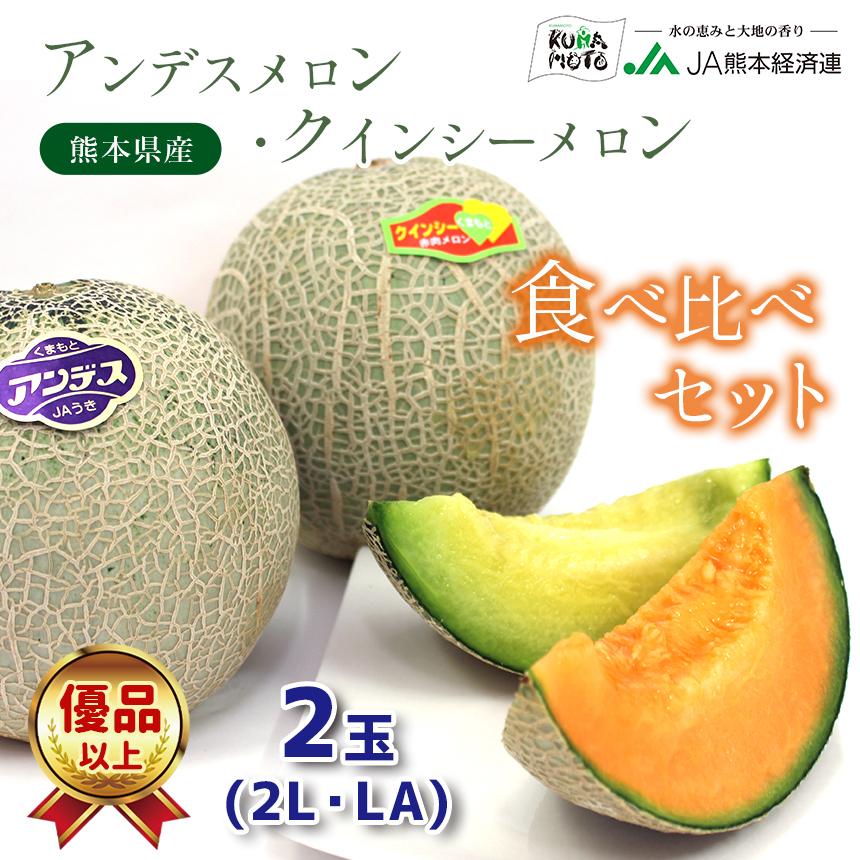予約】アンデスメロン・クインシーメロン食べ比べセット LA以上 優品