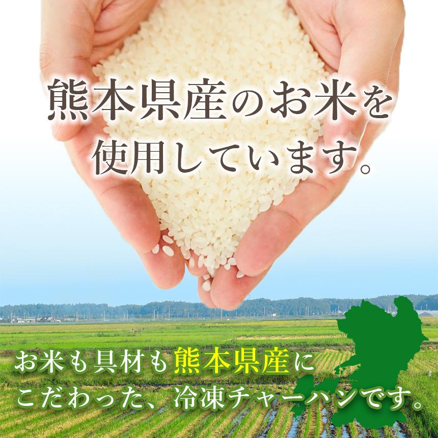 国産素材 冷凍炒飯 大人の黒毛和牛炒飯 230g×10袋 こだわりバラエティ 詰め合わせ 2.3kg レンジ ギフト チャーハン詰め合わせ まとめ買い 送料無料 |  | 04