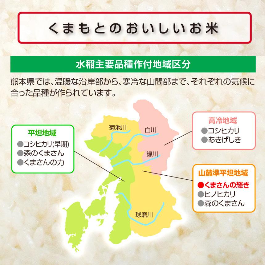 熊本県産 くまさんの輝き 1 5kg お米 精米 白米 300ｇ 5袋 1500g 国産 Kome0002 Ja熊本経済連yahoo Shop 通販 Yahoo ショッピング
