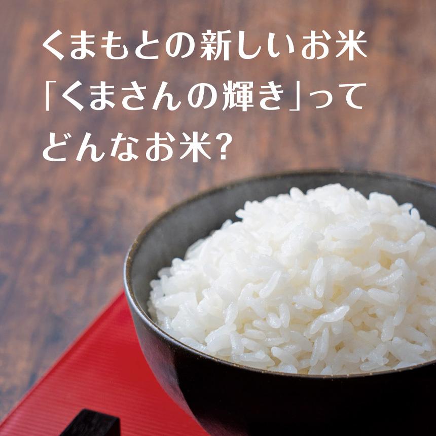 熊本県産 くまさんの輝き 3kg お米 精米 白米 300ｇ×5袋×2箱  3000g 国産｜jakk｜04