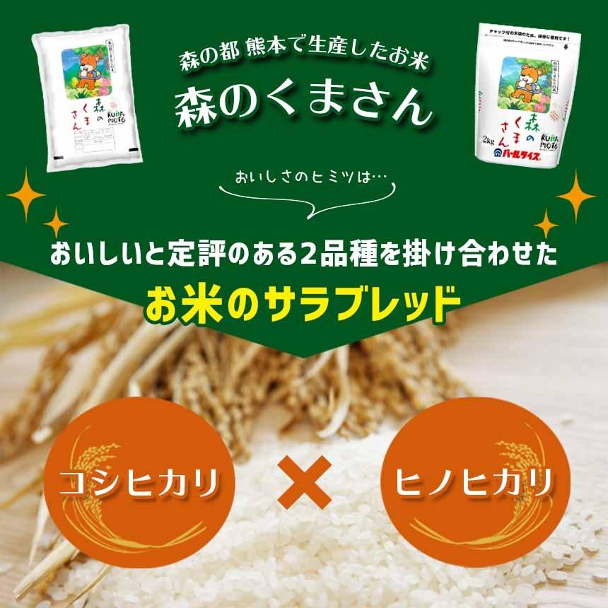 熊本県産 森のくまさん 4kg 令和6年産 お米 精米 白米 2kg×2袋 熊本県産 森のくまさん 4kg 令和6年産 お米 精米 白米 2kg×2袋