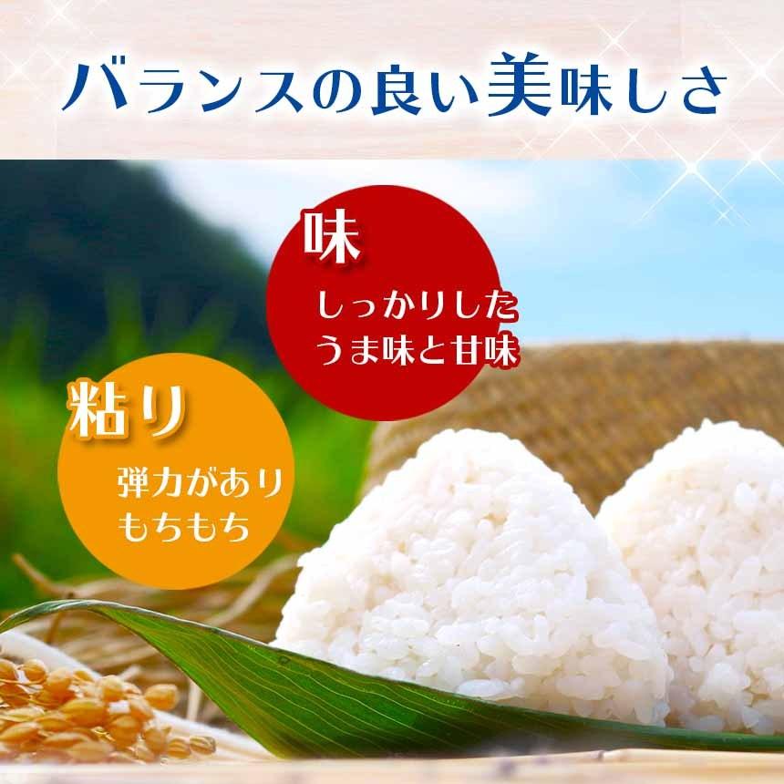 熊本県産 森のくまさん 4kg 令和6年産 お米 精米 白米 2kg×2袋 熊本県産 森のくまさん 4kg 令和6年産 お米 精米 白米 2kg×2袋