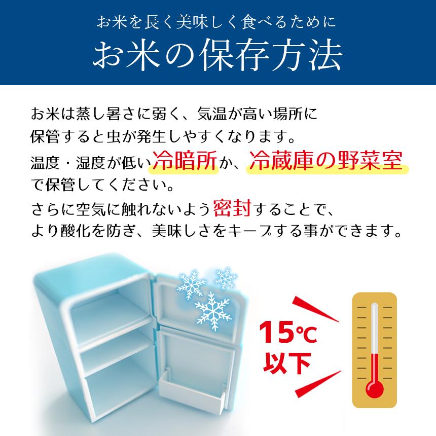 熊本県産 森のくまさん 4kg 令和6年産 お米 精米 白米 2kg×2袋 熊本県産 森のくまさん 4kg 令和6年産 お米 精米 白米 2kg×2袋