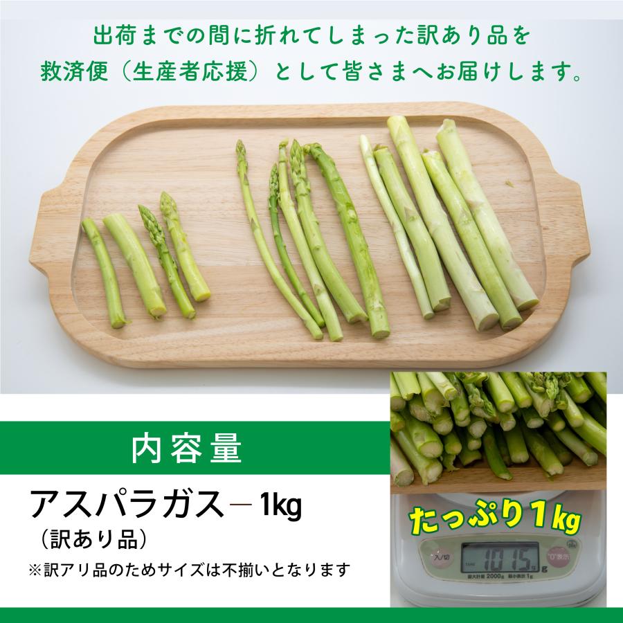 熊本県産アスパラガス 訳あり 1kg 規格外 冷蔵 クール便 数量限定 お